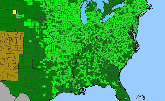The range of Amphicarpaea bracteata